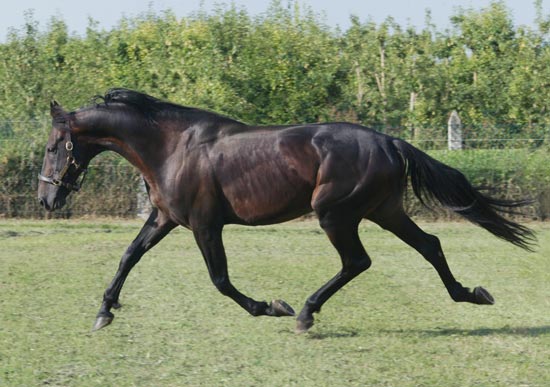 klusaakk